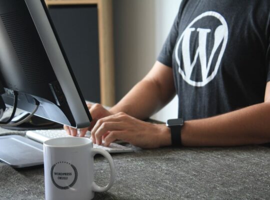 wordpress developer jobs