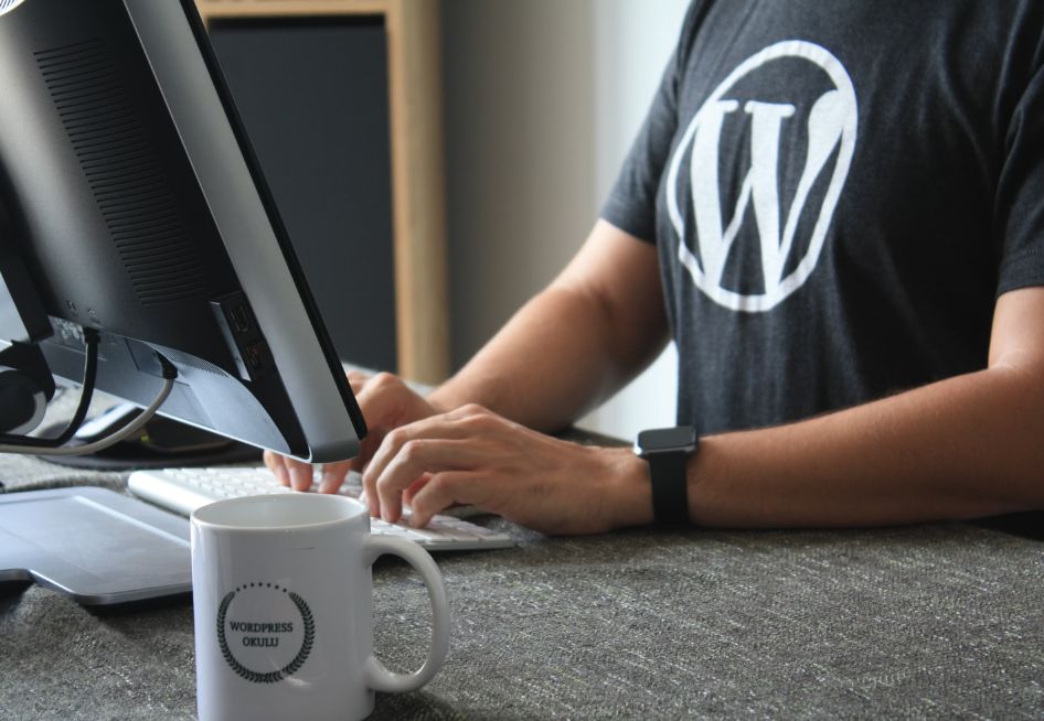 wordpress developer jobs